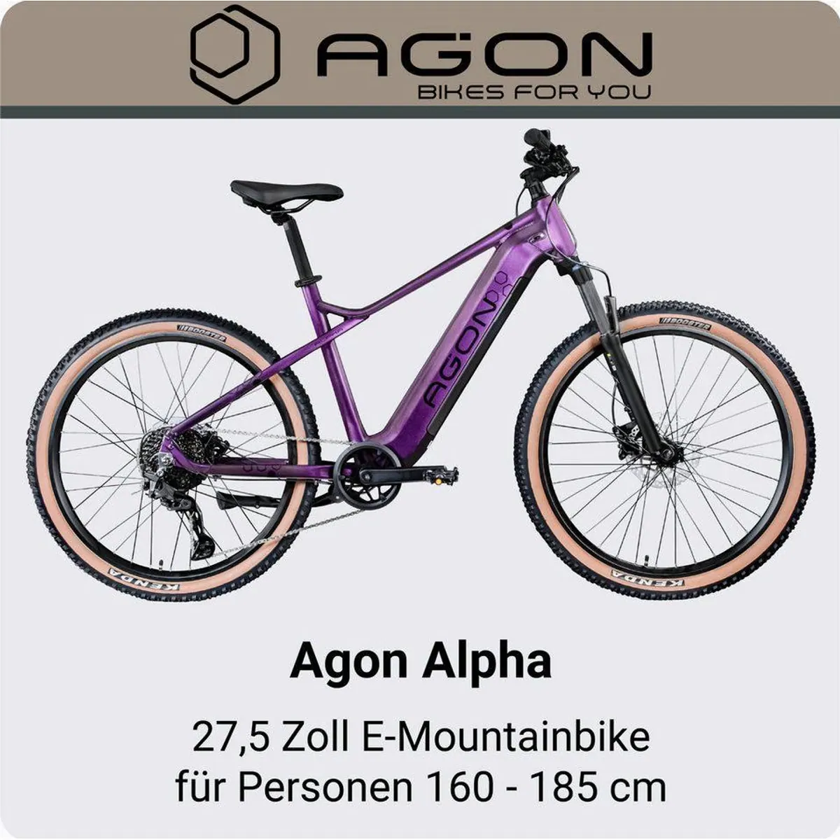 Agon E-Bike Mountainbike Alpha, 10 Gang Shimano Deore, 540 Wh Akku, Heckmotor 2