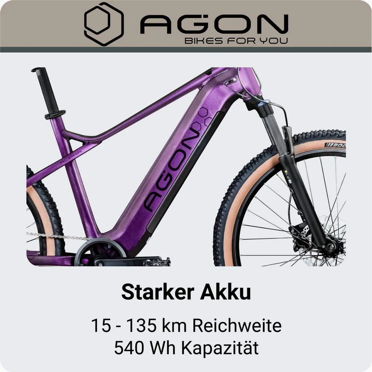 Agon E-Bike Mountainbike Alpha, 10 Gang Shimano Deore, 540 Wh Akku, Heckmotor 3