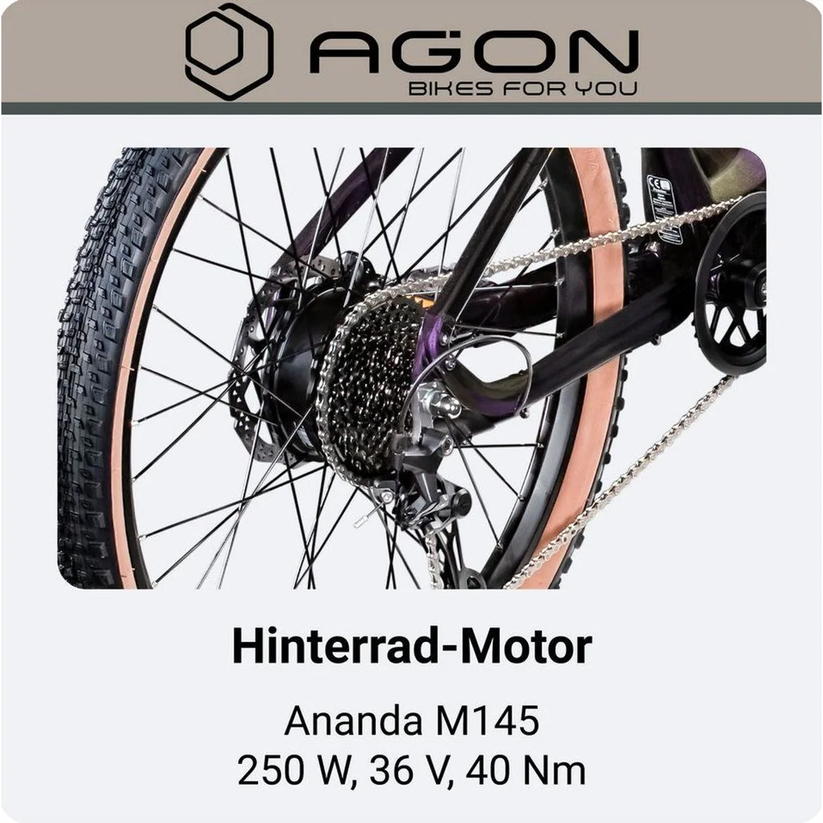 Agon E-Bike Mountainbike Alpha, 10 Gang Shimano Deore, 540 Wh Akku, Heckmotor 5