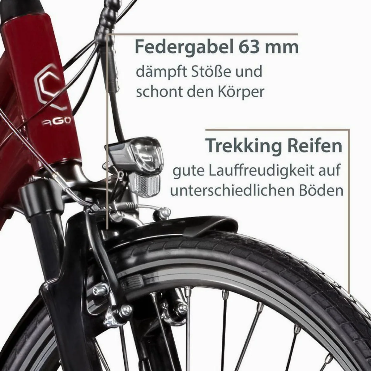 Agon Avesa E-Bike Trekkingrad, 21-Gang-Kettenschaltung, 374 Wh Akku — Komfort und Vielseitigkeit 3