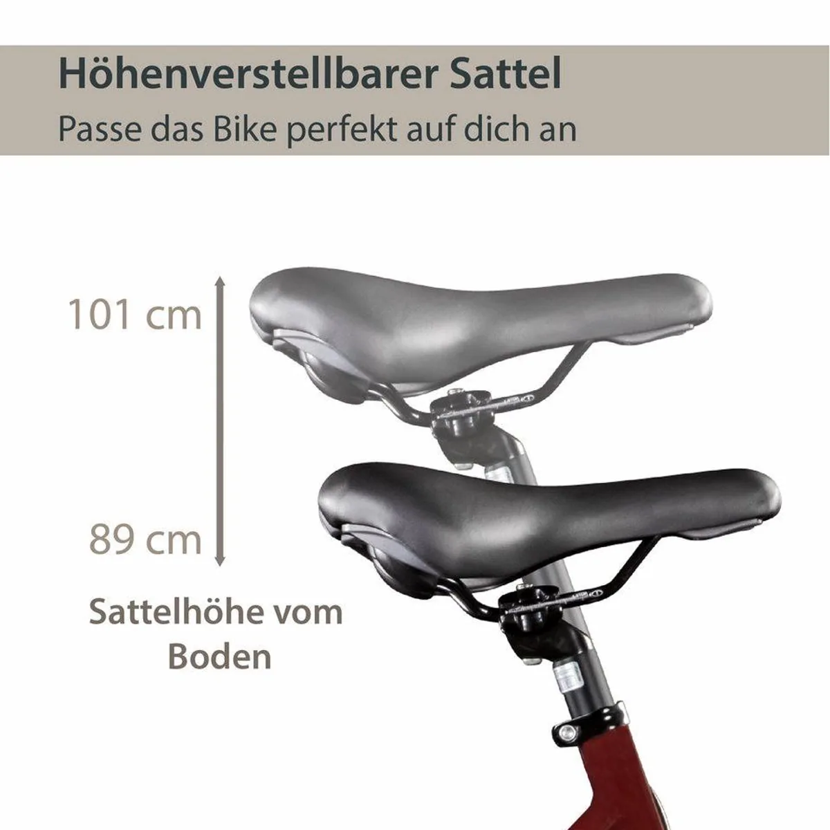 Agon Avesa E-Bike Trekkingrad, 21-Gang-Kettenschaltung, 374 Wh Akku — Komfort und Vielseitigkeit 4