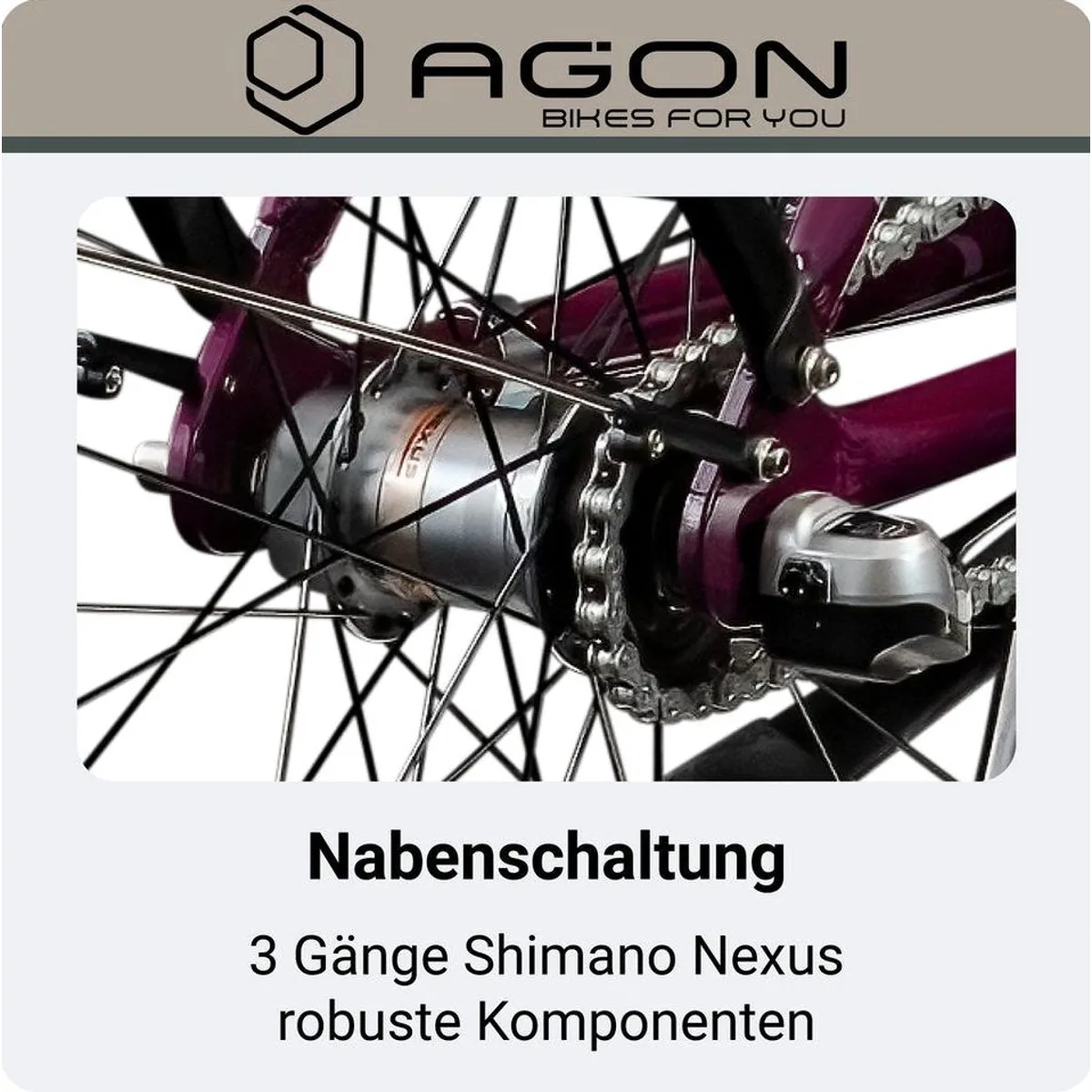 Agon E-Bike Cityrad Axis, 3 Gang Nabenschaltung, 536 Wh Akkuleistung 4