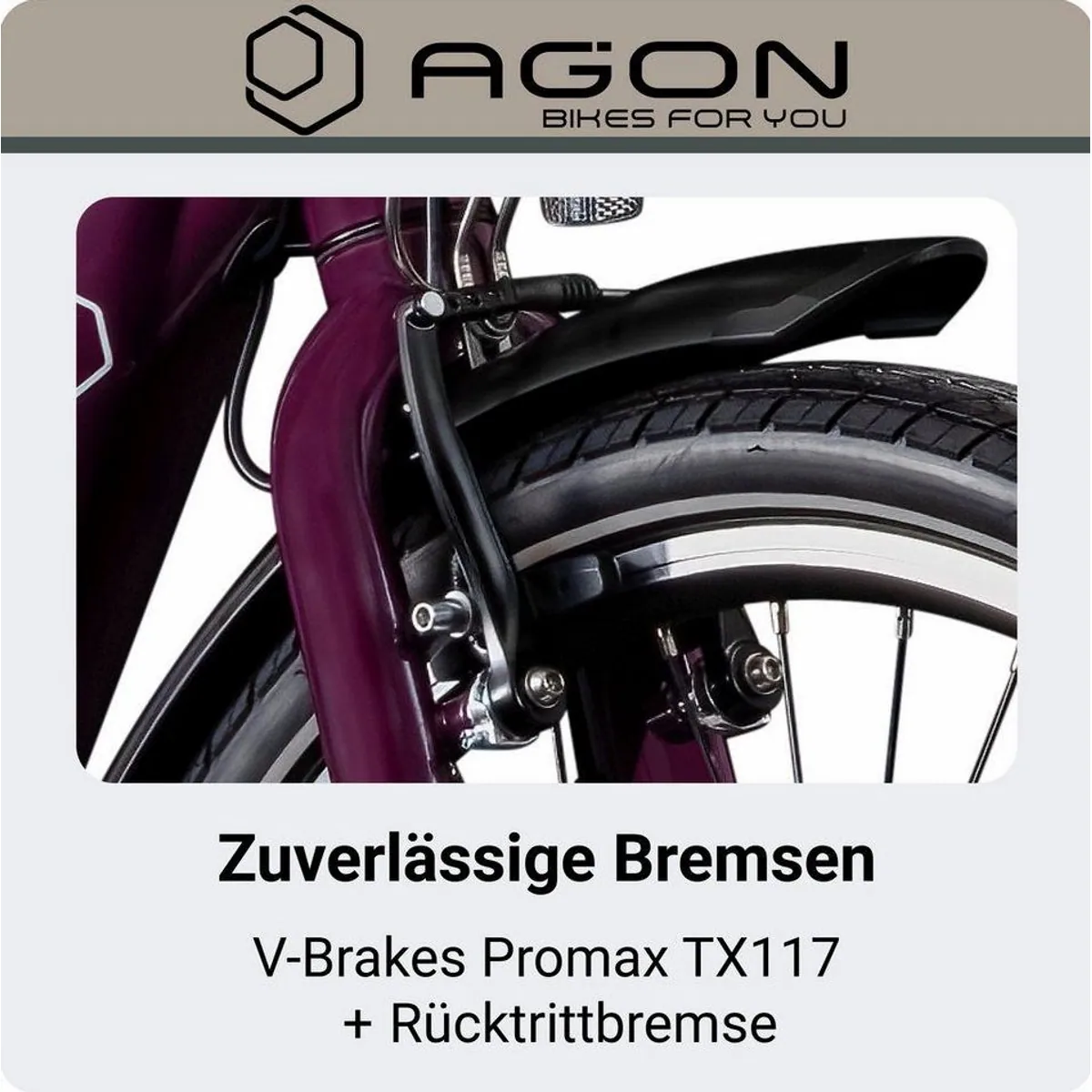 Agon E-Bike Cityrad Axis, 3 Gang Nabenschaltung, 536 Wh Akkuleistung 5