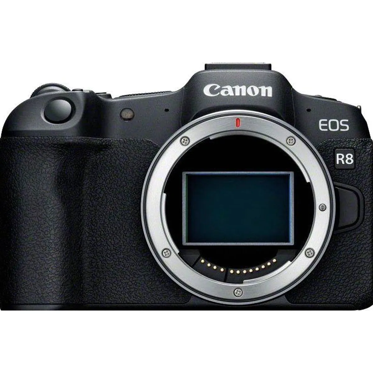 Canon EOS R8 + RF 24-50mm F4.5-6.3 IS STM, erstklassige Bildqualität, vielseitige Objektivkombination, kompakte Bauweise 2