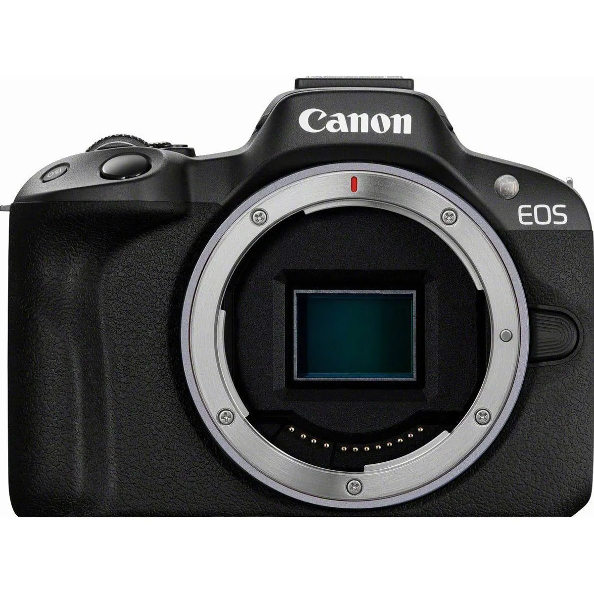 Canon EOS R50 + RF-S 18-45mm F4.5-6.3 IS STM, professionelle Bildqualität und vielseitige Nutzung 2