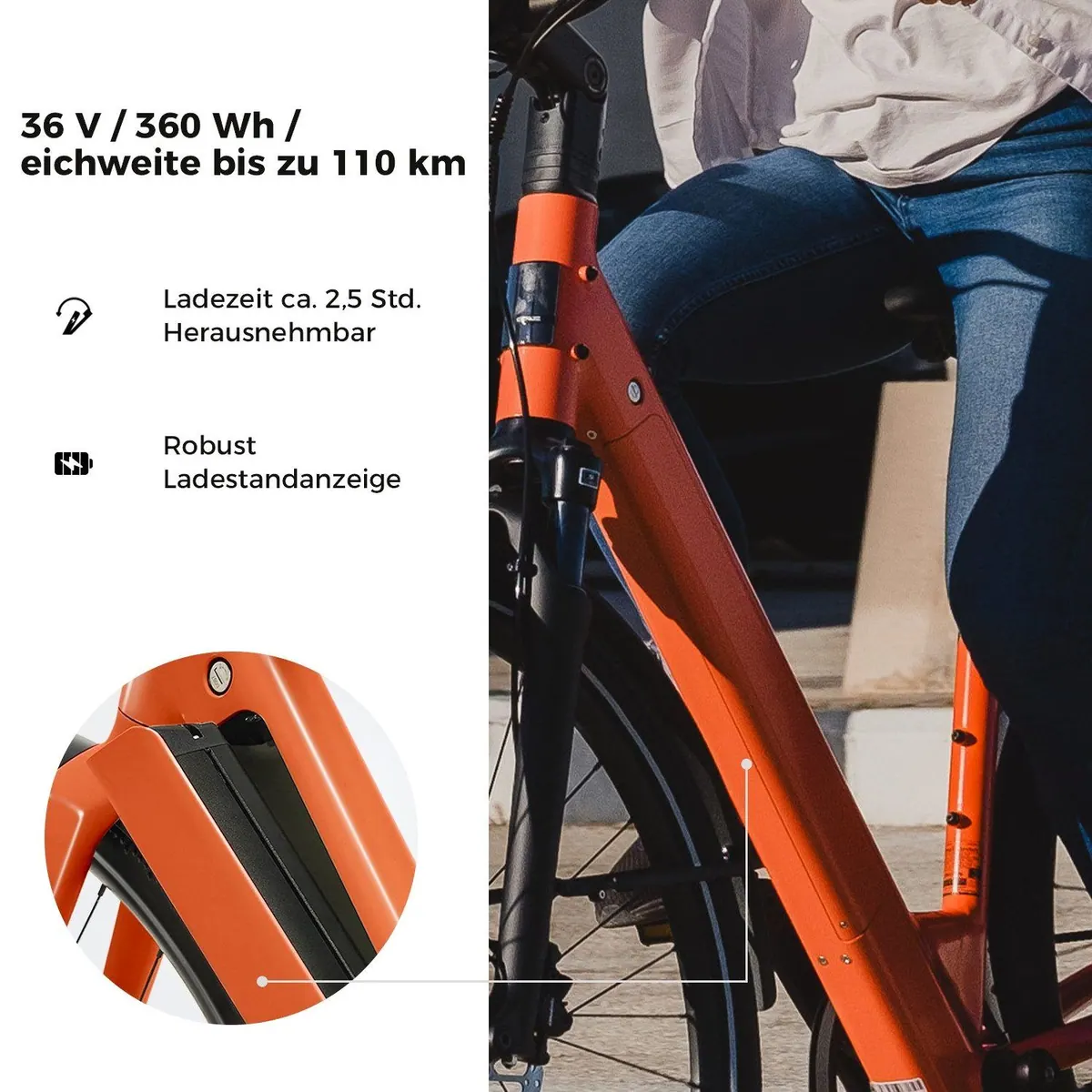 DERUIZ Turmali Comfort E-Bike, 110 km Reichweite, Gates Riemenantrieb, 35-Nm-Heckmotor 5