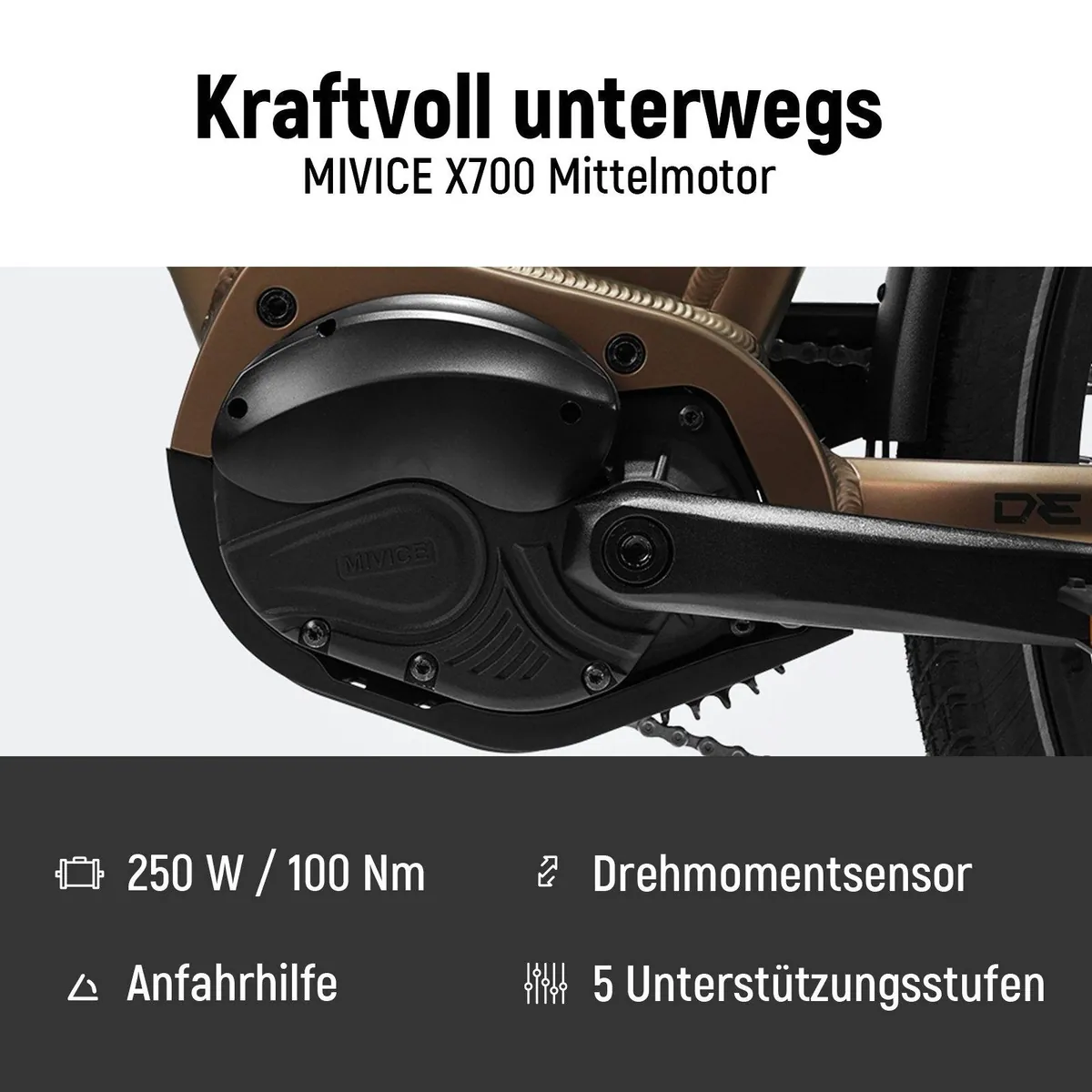 DERUIZ Quartz Pro E-Bike, 644 Wh Akku, 100 Nm Mittelmotor, 28 Zoll Schwalbe Reifen 2