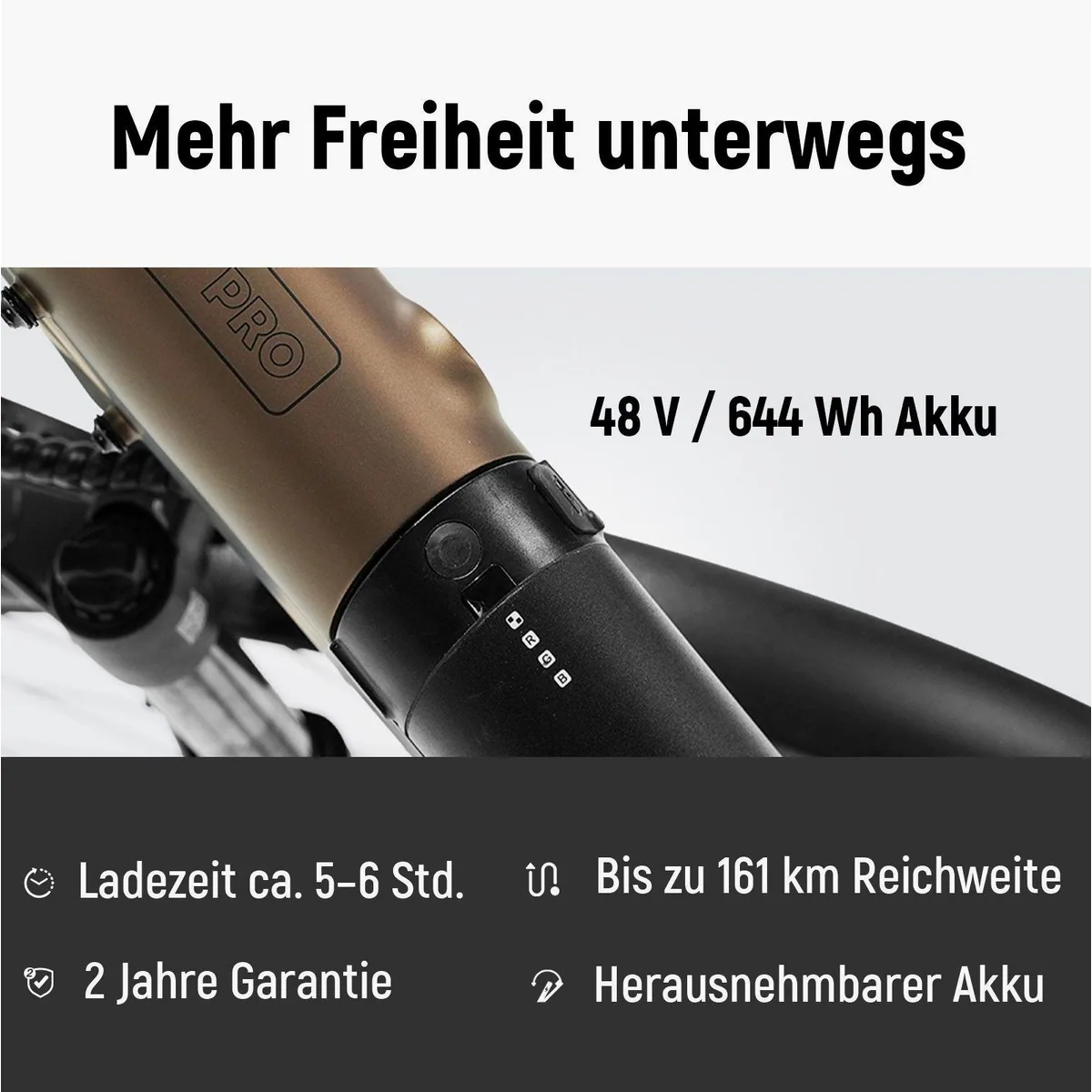 DERUIZ Quartz Pro E-Bike, 644 Wh Akku, 100 Nm Mittelmotor, 28 Zoll Schwalbe Reifen 3