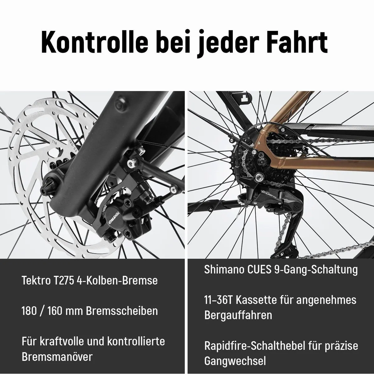 DERUIZ Quartz Pro E-Bike, 644 Wh Akku, 100 Nm Mittelmotor, 28 Zoll Schwalbe Reifen 4