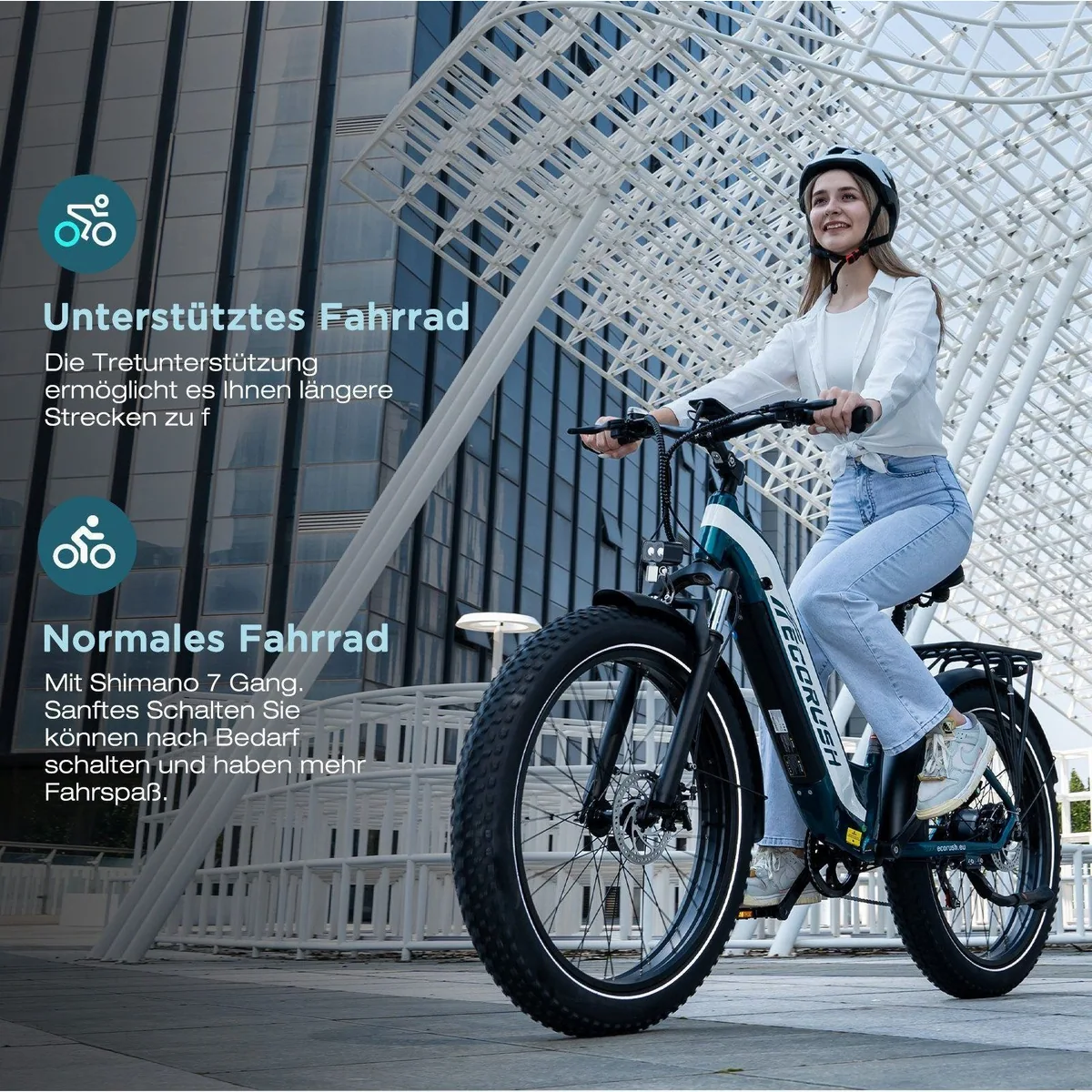 ECORUSH E-Bike Trekkingrad, 250W Motor, 48V 20Ah Akku, Vollfederung 5