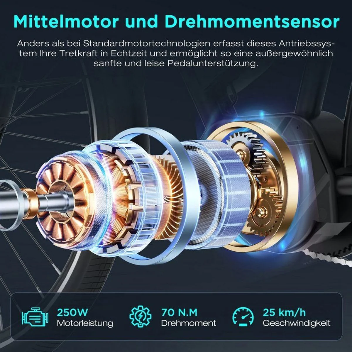 HITWAY E-Bike Trekkingrad, 250 W Mittelmotor, Reichweite bis 180 km 4