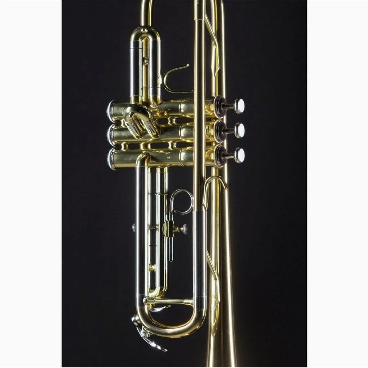 Jupiter JTR700 RQ Trompete, Goldmessing, verstellbarer Fingerring, Neusilber Außenzüge 4