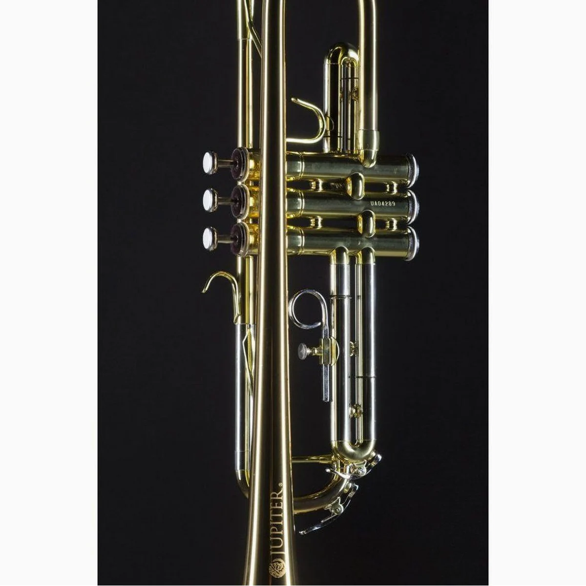 Jupiter JTR700 RQ Trompete, Goldmessing, verstellbarer Fingerring, Neusilber Außenzüge 5