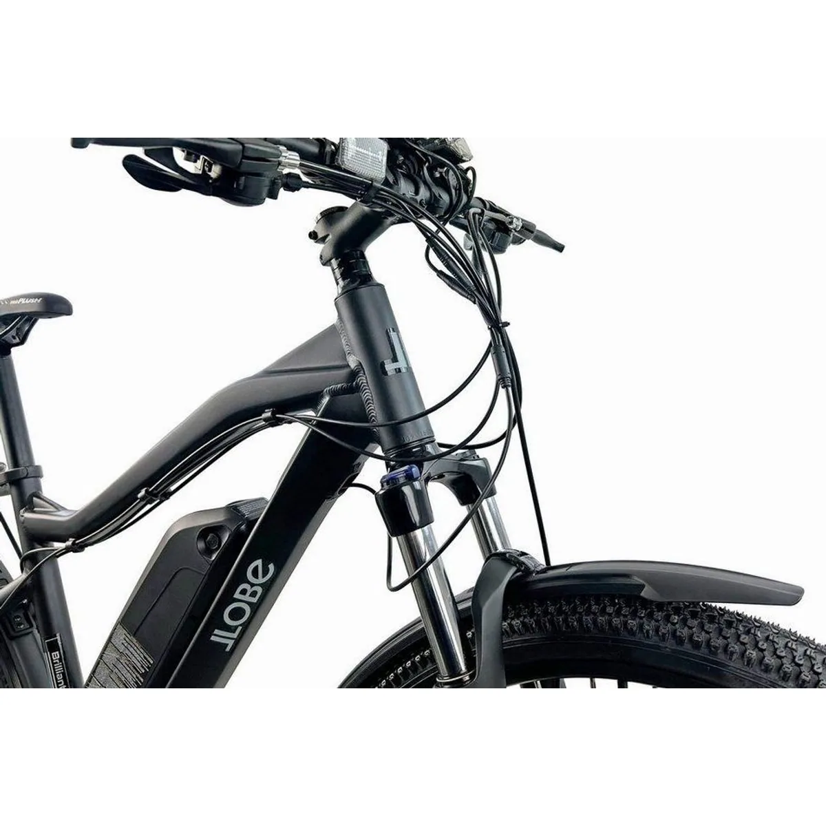LLobe Brillant Mountain E-Bike, Hinterradmotor, 24-Gang Shimano Schaltung, 100 km Reichweite 3