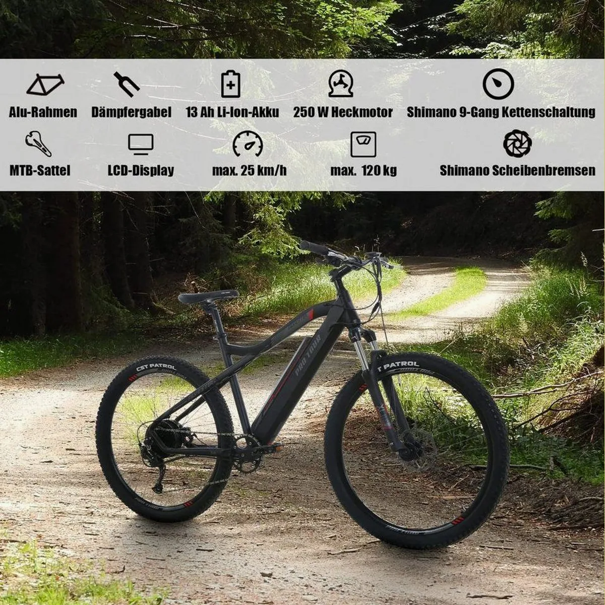 Nettlife E-Mountainbike, 250W Hinterradmotor, 36V/13Ah Akku, LCD-Display 2