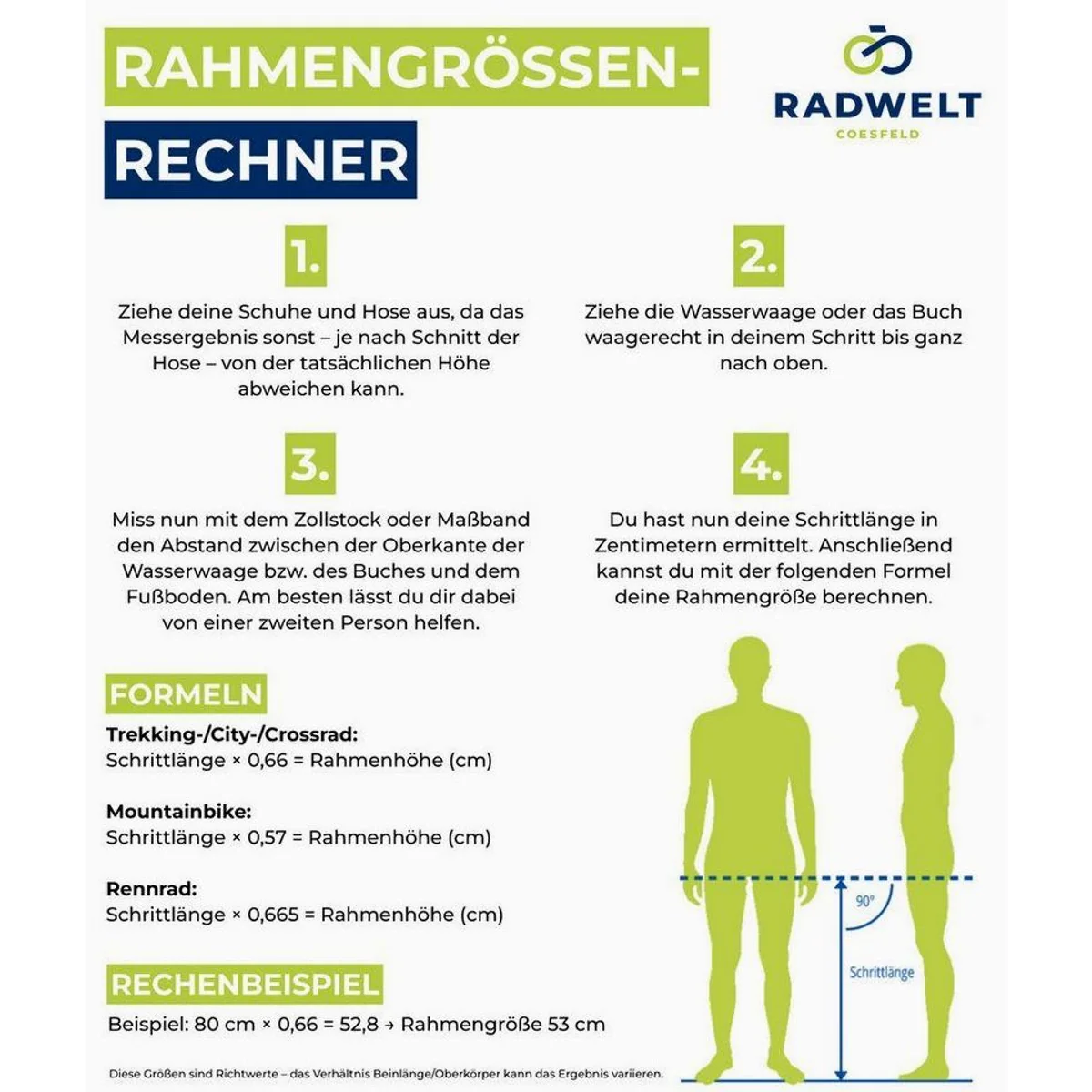 Pegasus Solero E8 Plus 500 Wh Damen, Bosch Active Line Plus, 8-Gang Shimano, komfortabel und zuverlässig 2