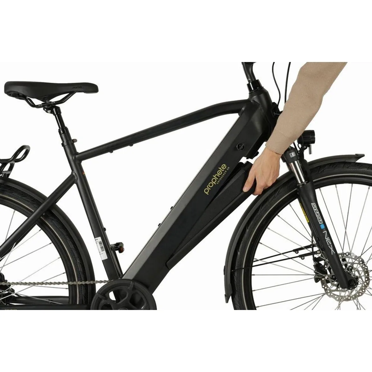 Prophete Entdecker 2.0 E-Bike, leistungsstarker Heckmotor, 8-Gang Shimano Altus, 360 Wh Akku 4