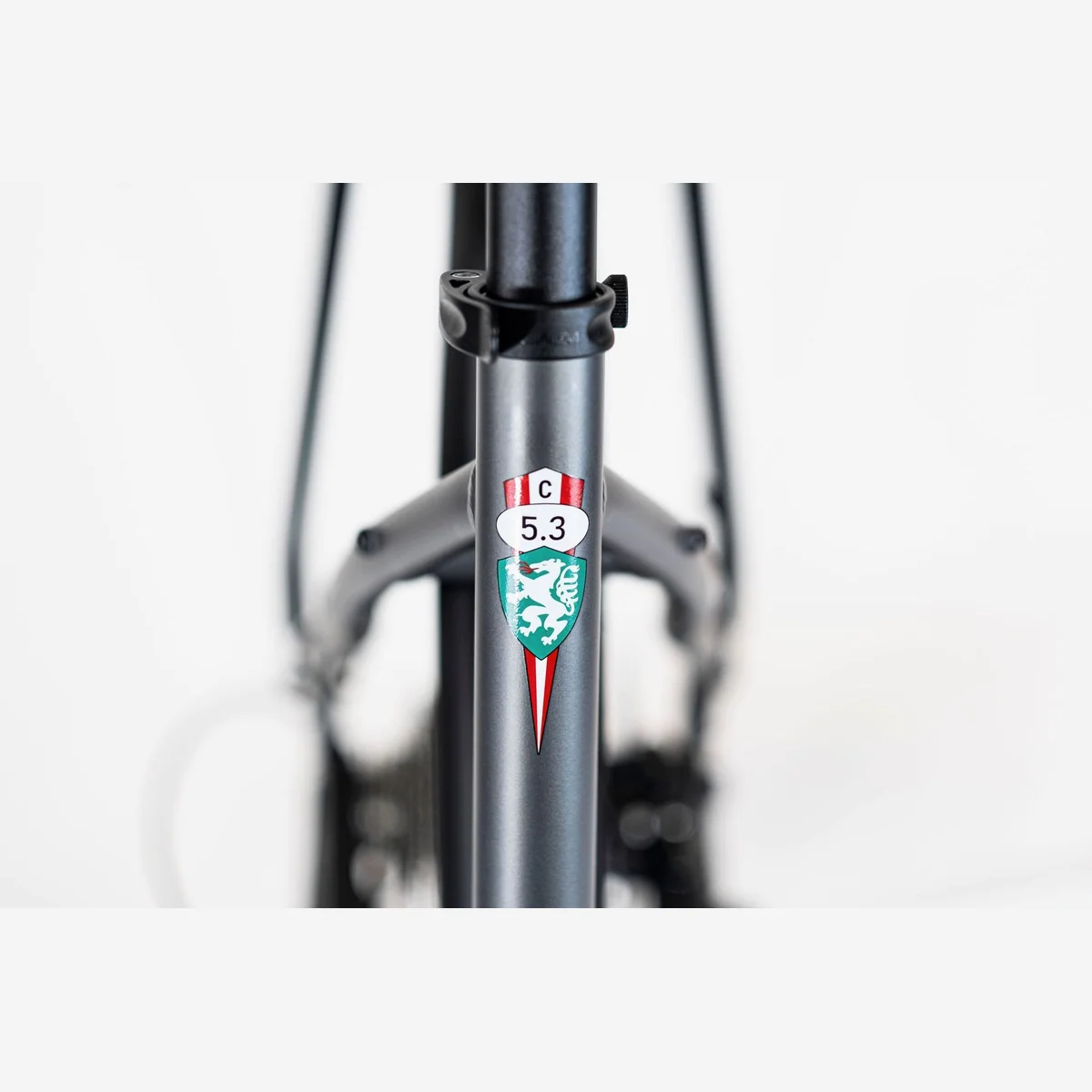 PUCH C 5.3 City E-Bike, Bosch Active Line Plus, 28 Zoll 3