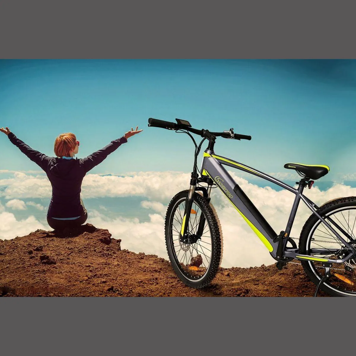 SachsenRAD E-Bike Mountainbike R8 Flex III, 9-Gang Shimano, leistungsstarker Heckmotor, 520 Wh 5