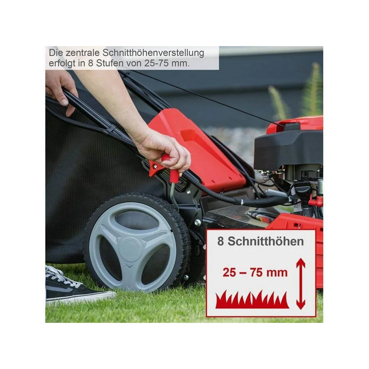 Scheppach MP150-46 Benzinrasenmäher, 46 cm Schnittbreite, 3,5 PS Motorleistung 4