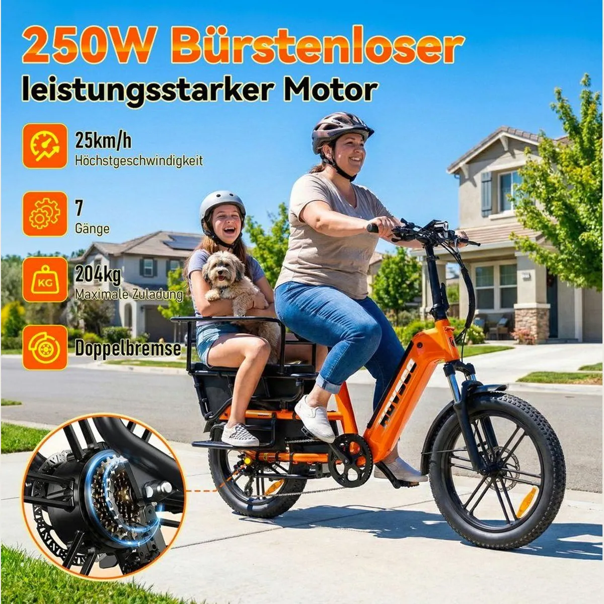 SISIGAD E-Cargo Bike K006, 250W Motor, 55 km Reichweite, 204 kg Zuladung 2