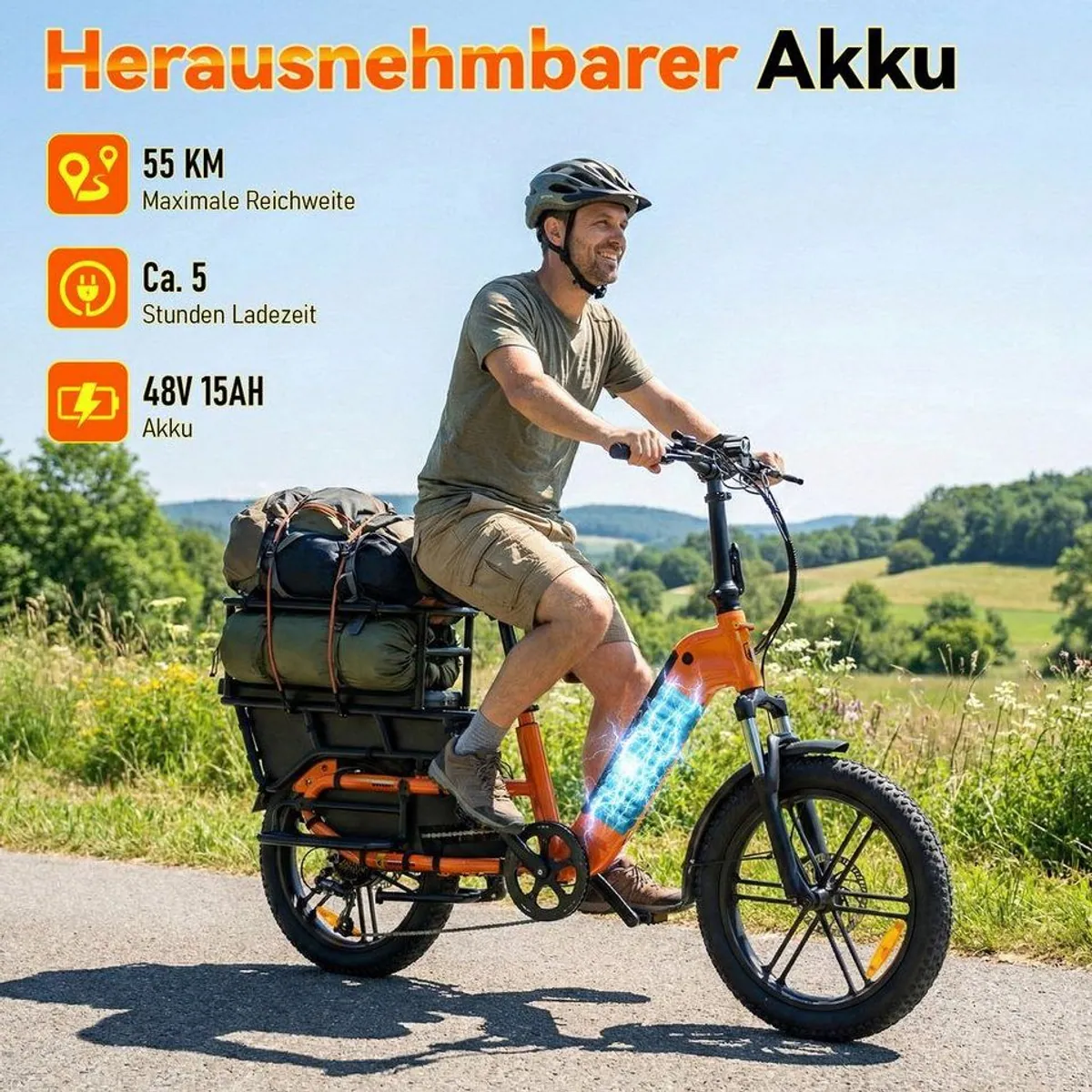 SISIGAD E-Cargo Bike K006, 250W Motor, 55 km Reichweite, 204 kg Zuladung 3