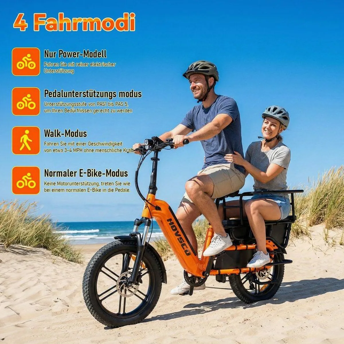 SISIGAD E-Cargo Bike K006, 250W Motor, 55 km Reichweite, 204 kg Zuladung 4
