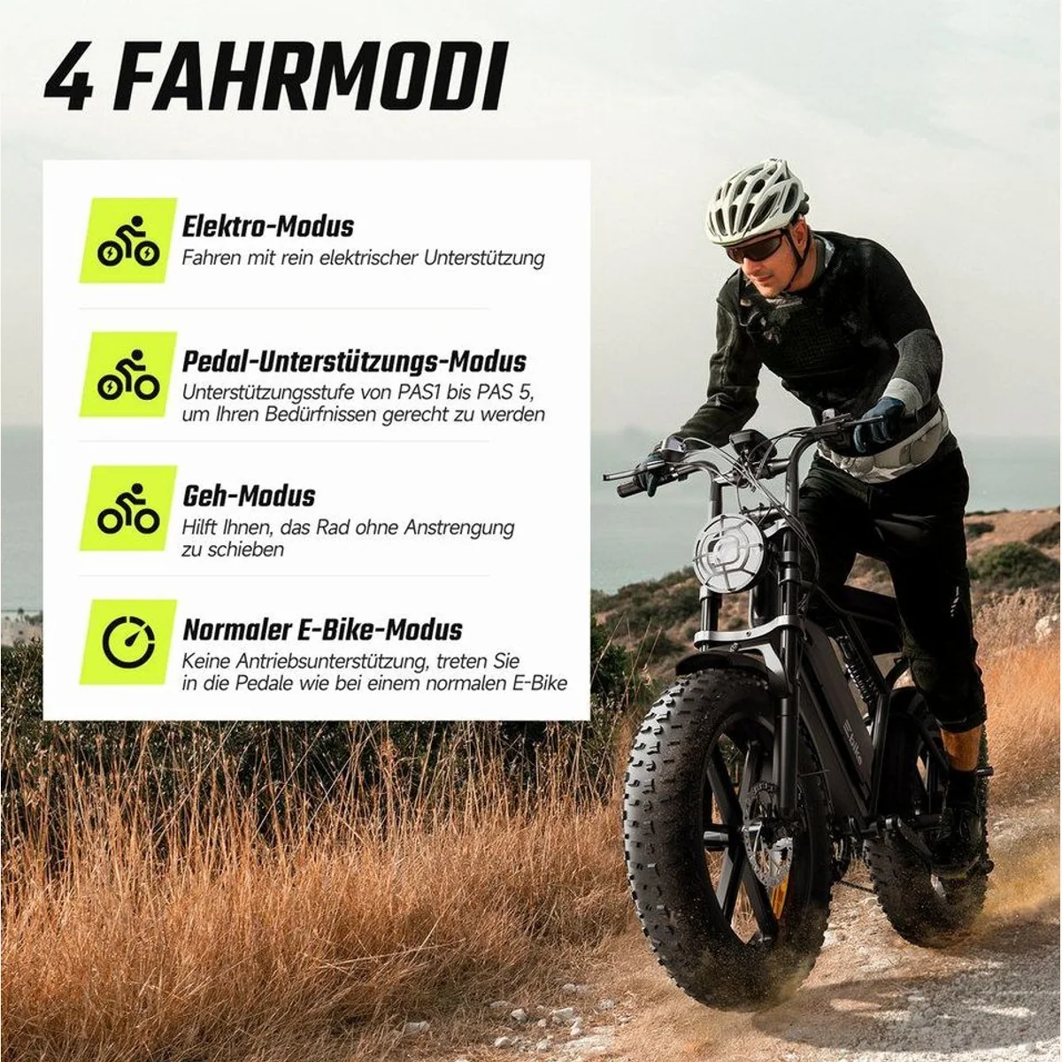 SISIGAD R002 PLUS E-Bike, 20'' Fat Tire, 130 km Reichweite, 7-Gang Schaltung 4