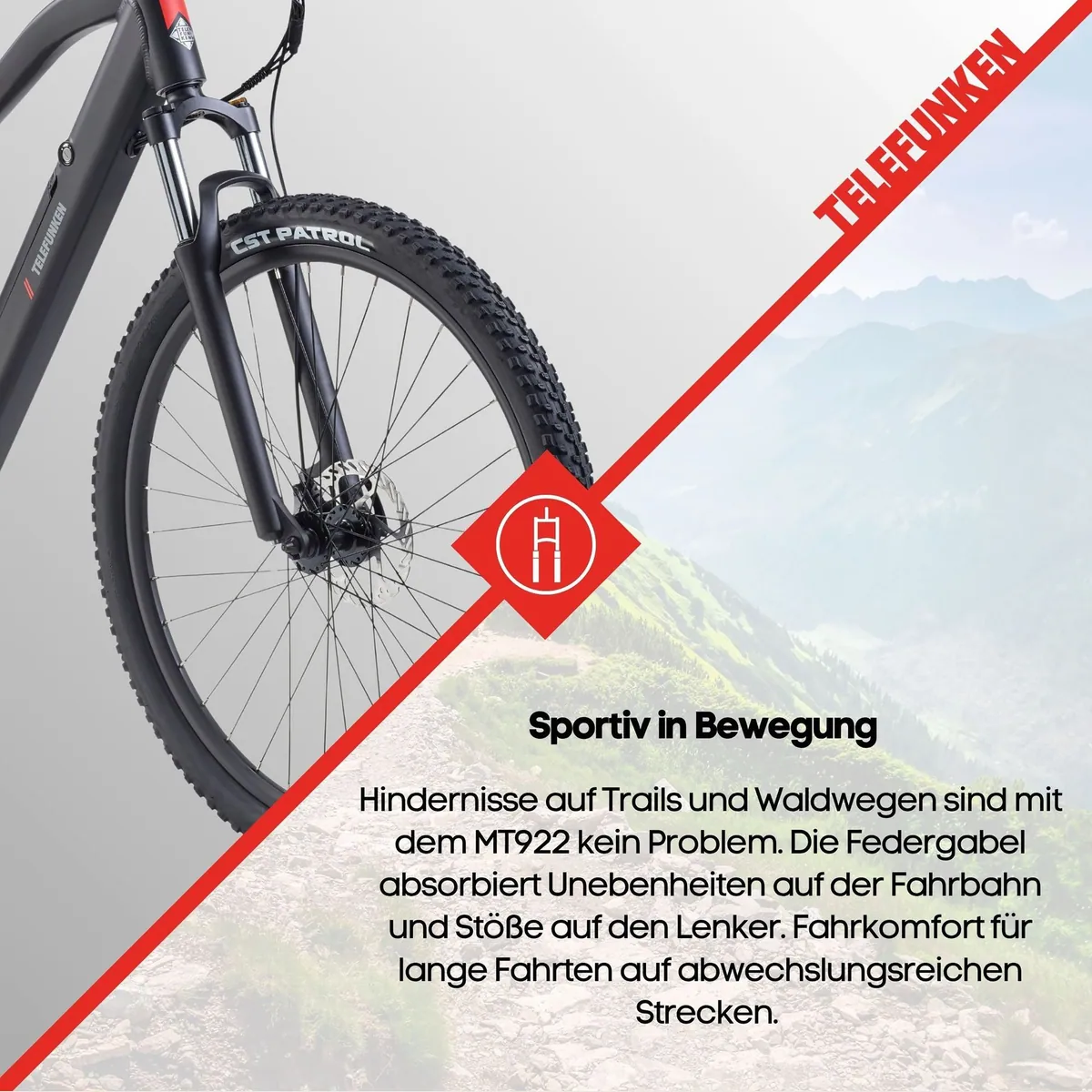 Telefunken MT922 E-Bike, kraftvoller Heckmotor, 29 Zoll Reifen, Shimano 7-Gang Schaltung 5