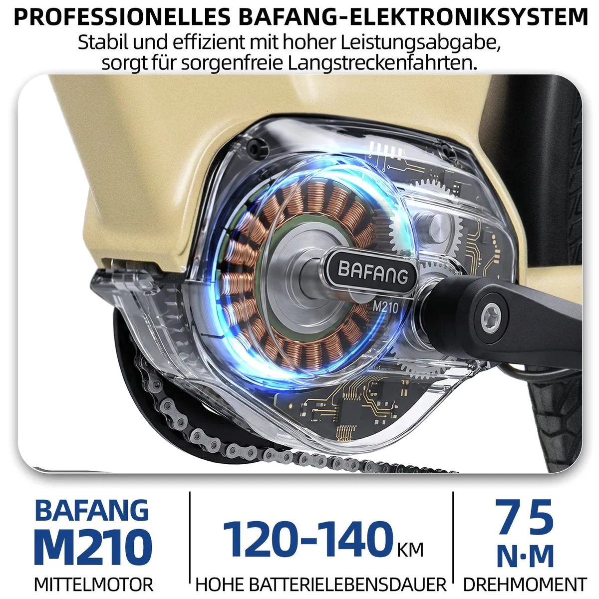 TTGO E-Bike C7 SE, 75Nm Mittelmotor, 650Wh Akku, 9-Gang Shimano Schaltung 2