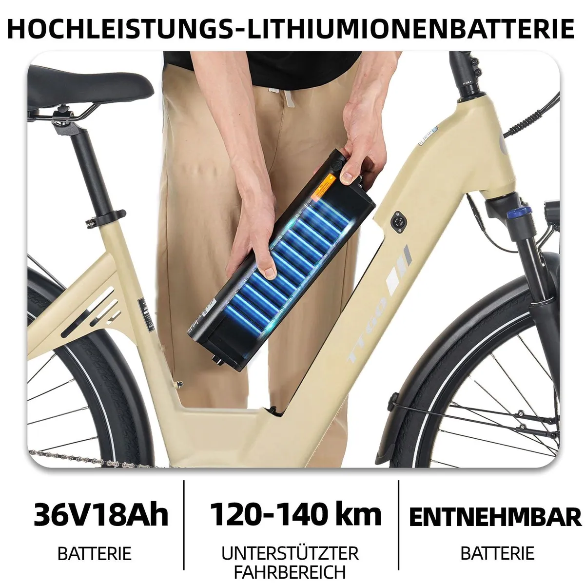 TTGO E-Bike C7 SE, 75Nm Mittelmotor, 650Wh Akku, 9-Gang Shimano Schaltung 3